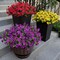 20 Bundles Summer Potted Plants Artificial Flowers for Outdoor Fake Plants for Summer Decoration